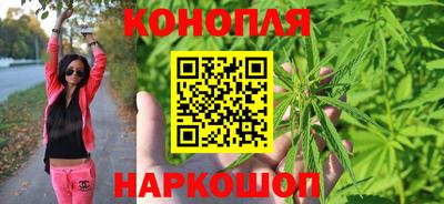 каннабис Кингисепп