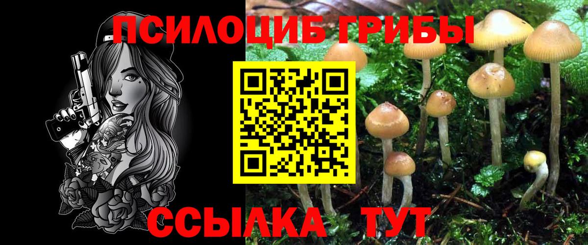 Галлюциногенные грибы мухоморы Зеленокумск