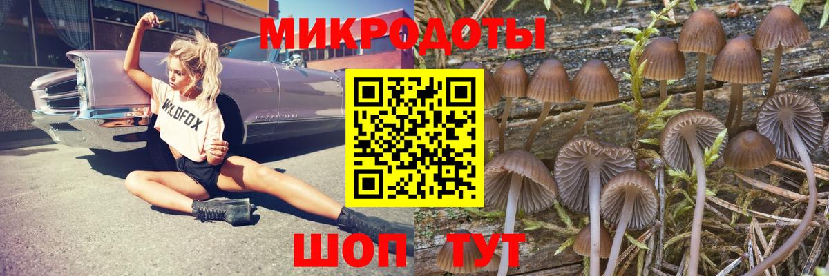 Зеленокумск  Псилоцибиновые грибы прущие грибы  Вход с VPN 
